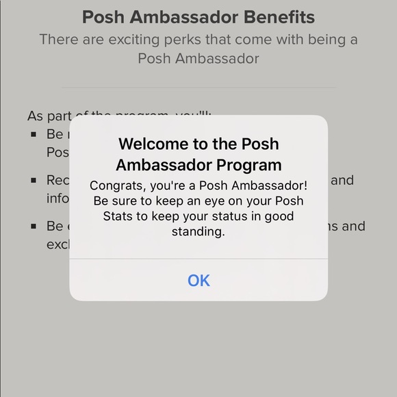 Posh Ambassador! - Picture 1 of 2